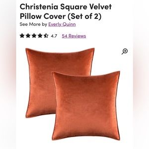 Two orange pillowcases 22”x22”